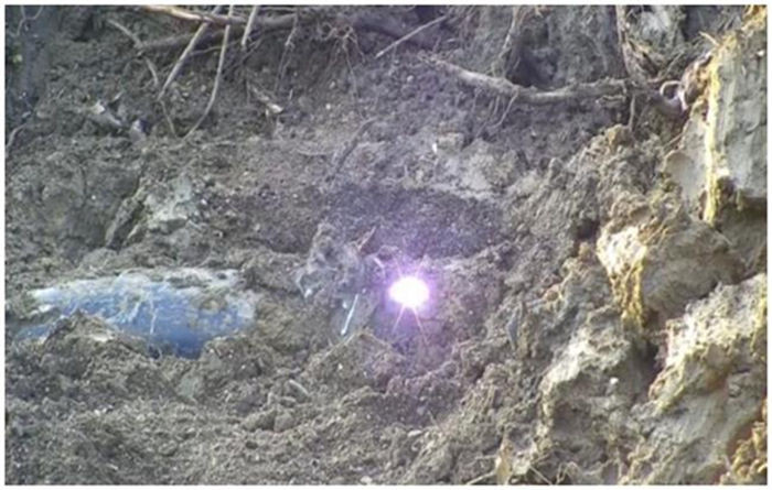 圖片 6.png 圖片 6.png