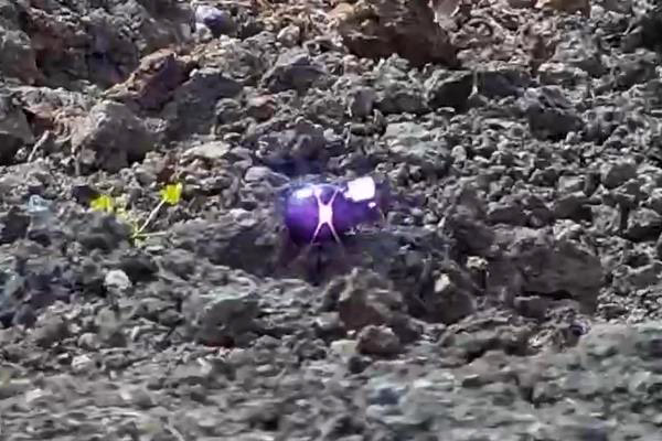 山東濟(jì)南某地手雷激光銷毀